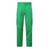 PANTALON COMBAT LÉGER  Colour:Sarcelle